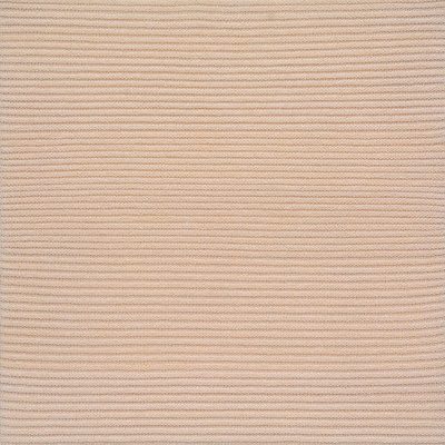 Untitled-Shobha-Broota