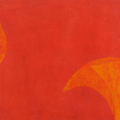 Red Flower in the Sun 2-Yogesh