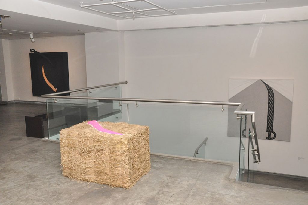 Installation shoot by show of Abstract