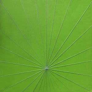 Untitled-Shobha-Broota