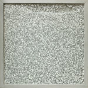 The Connecting Space-Shobha-Broota