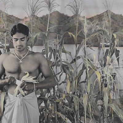 The-Harvesters-Waswo