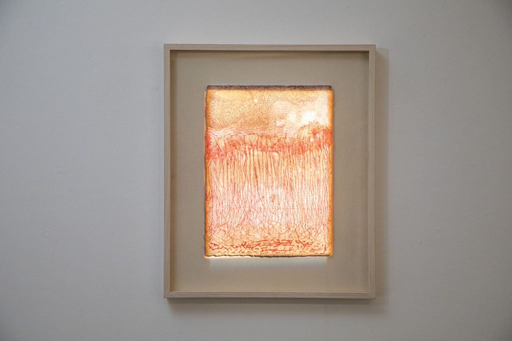 Installation by Puneet Kaushik