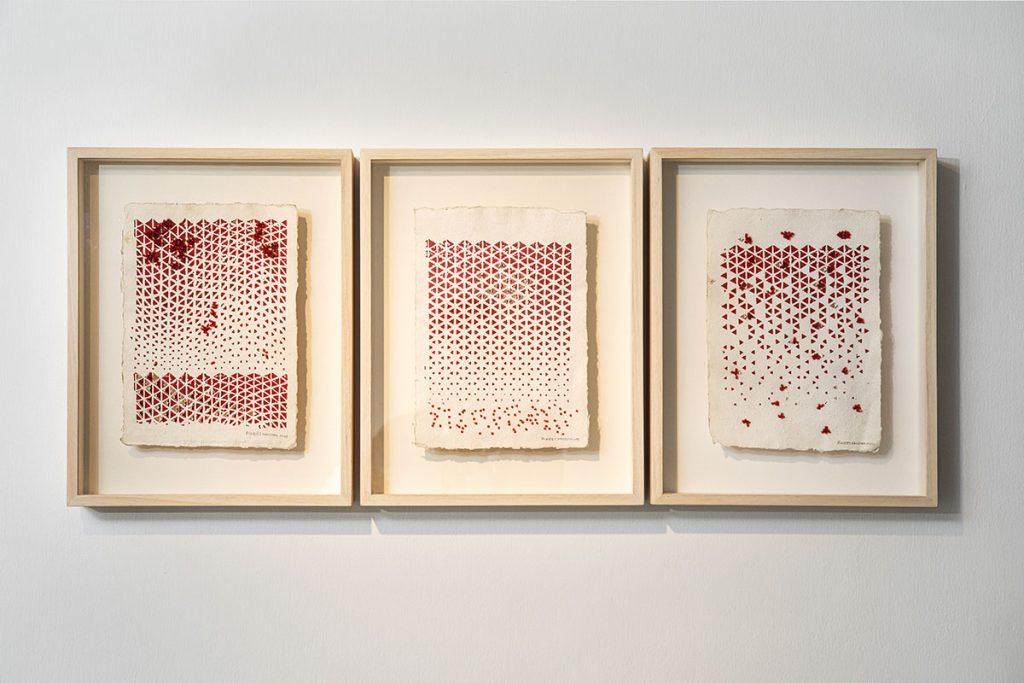 Installation by Puneet Kaushik