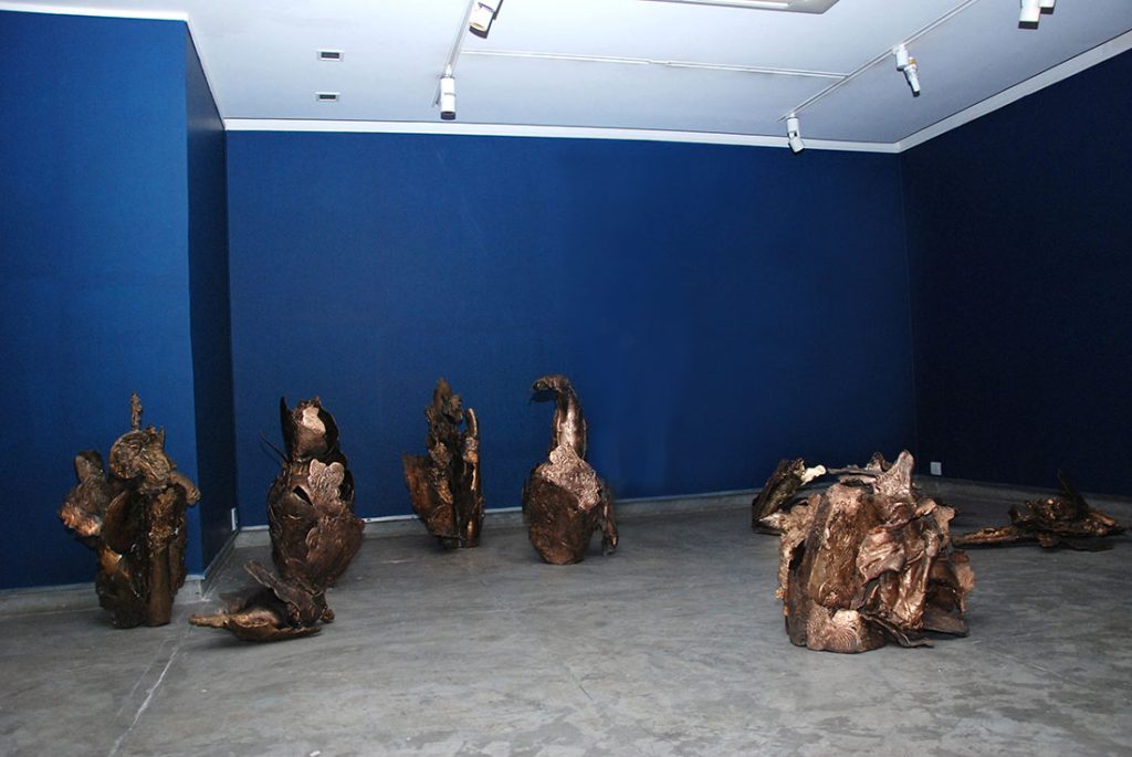 Installation shoot of show by Mrinalini Mukherjee