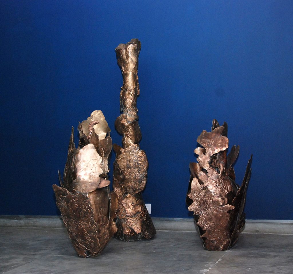 Installation shoot of show by Mrinalini Mukherjee