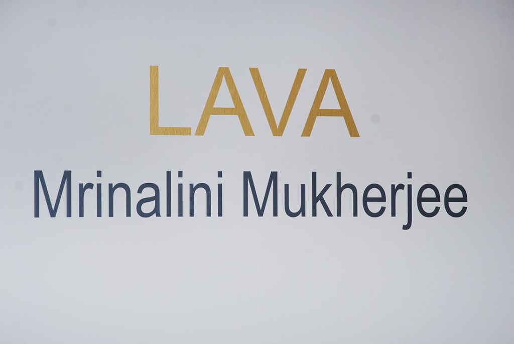 Installation shoot of show by Mrinalini Mukherjee