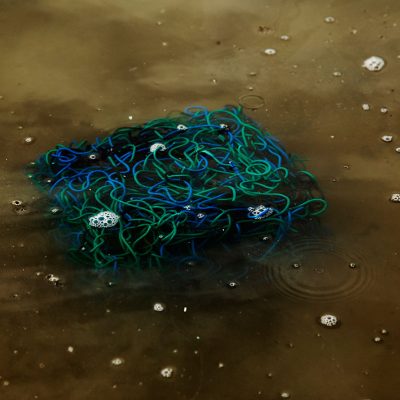 Dead-Sea-Curcuit-Vinita-KHanna