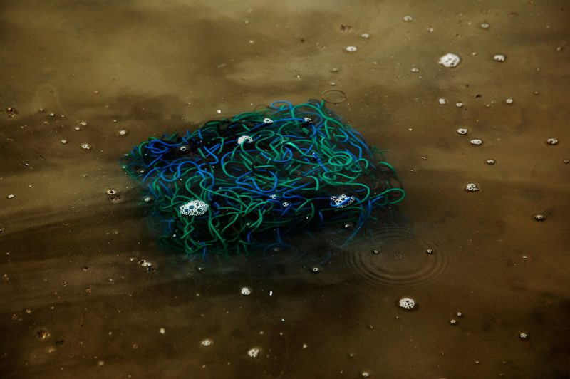 Dead-Sea-Curcuit-Vinita-KHanna