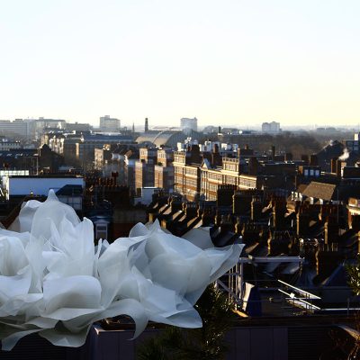 Effloresce-Vinita-Khanna