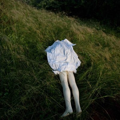 Forest-Morning-I-Ravi-Agarwal