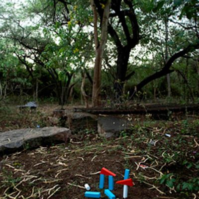 Forest-morning-II-Ravi-Agarwal