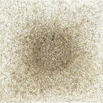 Seed-Ganesh-Selvaraj