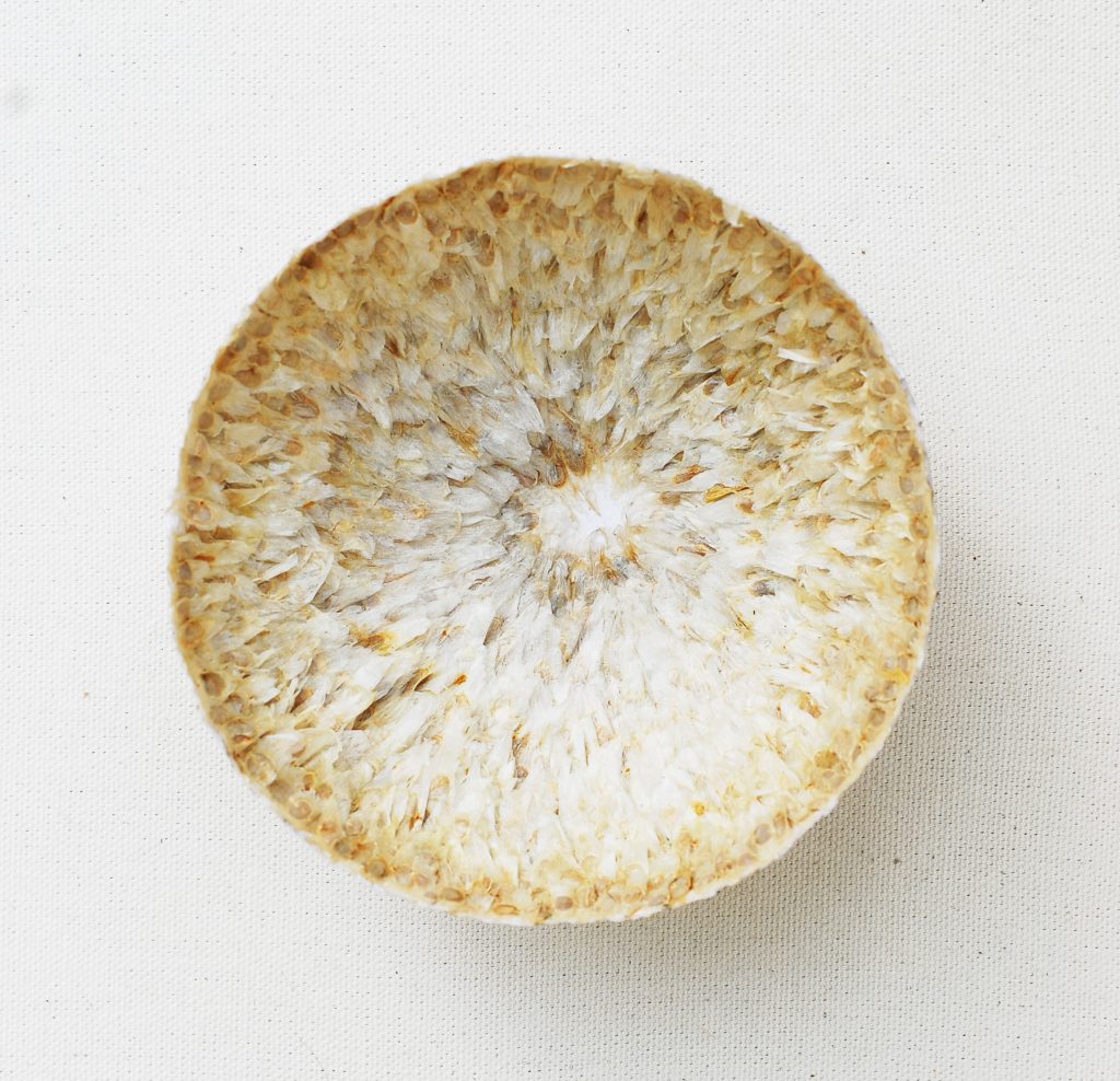 Lose-yourself-II-Benitha-Perciyal