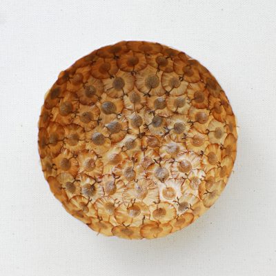 Lose-yourself-III-Benitha-Perciyal