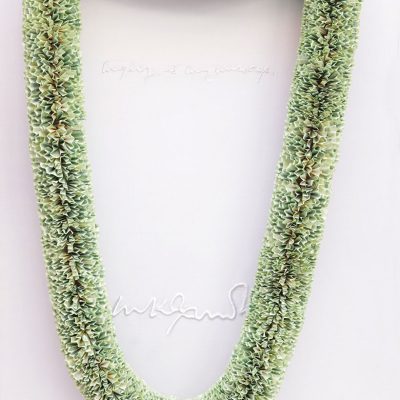 Mere-Jeevan-hee-Mera-Sandesh-Hai-Vishal-K-Dar