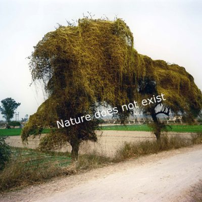 Site-Plan-I-Ravi-Agarwal