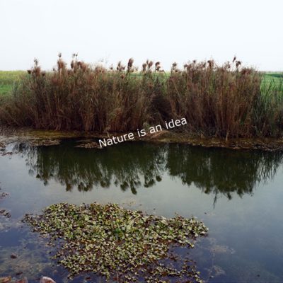 Site-Plan-II-Ravi-Agarwal