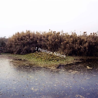 Site-Plan-III-Ravi-Agarwal