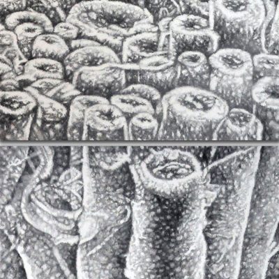 The-Spine-Series-Coulumn-Parvathi-Nayar