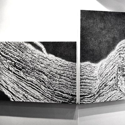 The-Spine-Series-Wired-Parvathi-Nayar