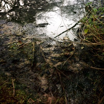 sewage-pond-Ravi-Agarwal