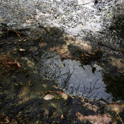 sewage-pond-Ravi-Agarwal