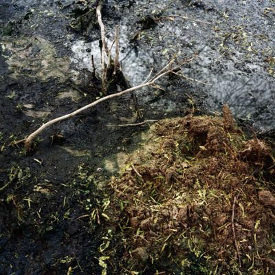 sewage-pond-Ravi-Agawal