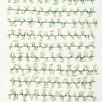 IF-FENCES-GATHERED-MOSS-Manisha-Gera-Baswani-