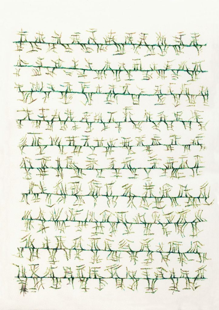 IF-FENCES-GATHERED-MOSS-Manisha-Gera-Baswani-