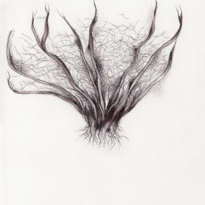 NATURE-STUDY-1-Manisha-Gera-Baswani