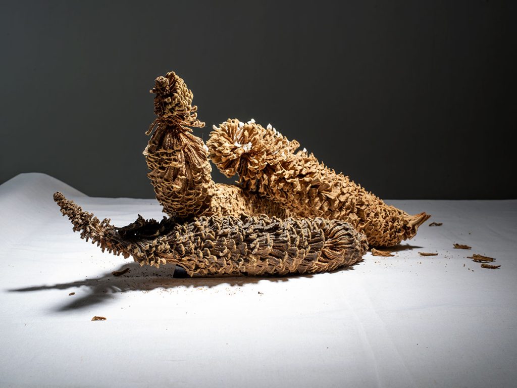 SANGAT-Manisha-Gera-Baswani