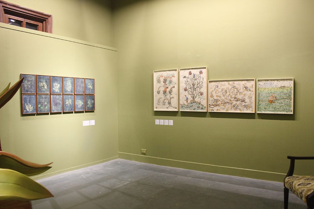 DCAW installation shoots