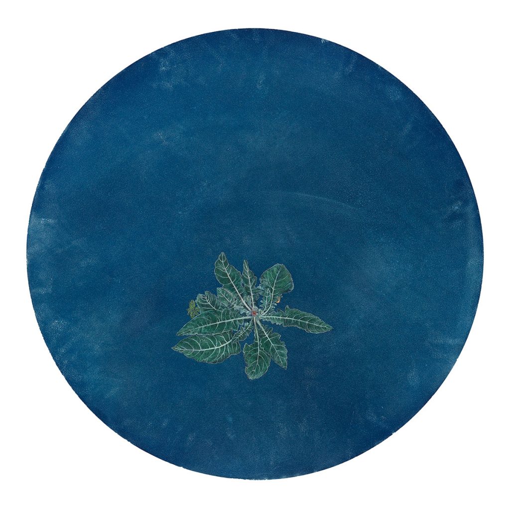 Grounds_ground-II-Rashmiimala