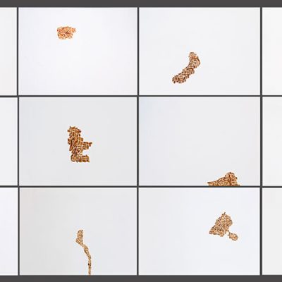 Burgeon-Ishita-Chakraborty