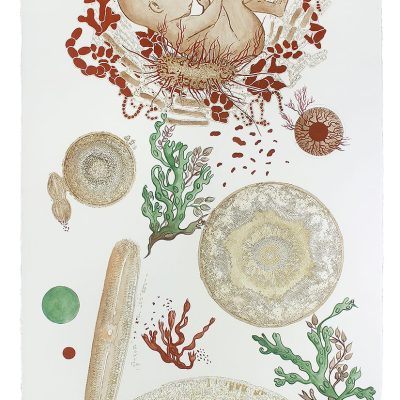 Symbiotic-Self-II-Sonia-Mehra-Chawla
