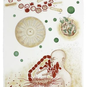 Symbiotic-Self-III-Sonia-Mehra-Chawla
