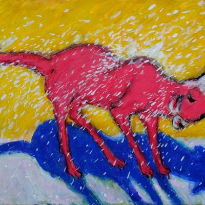 Amit-Ambalal-Rainmaker