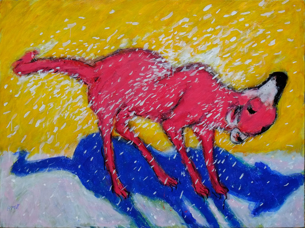 Amit-Ambalal-Rainmaker