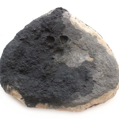 Bhurukuwa 20-Shambhavi