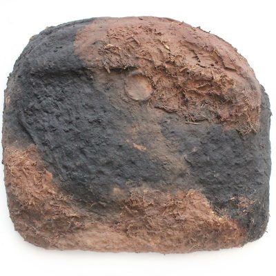 Bhurukuwa 35-Shambhavi