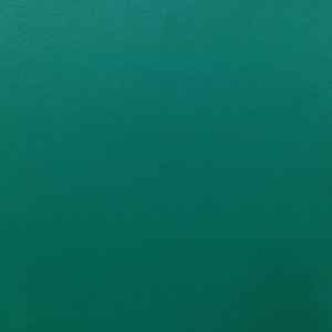 Untitled-Shobha-Broota
