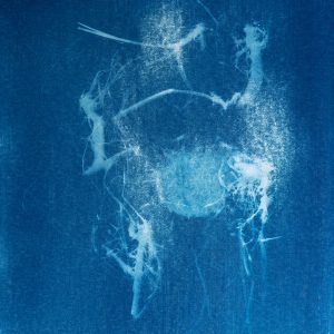 Routes-and-Roots-Ishita