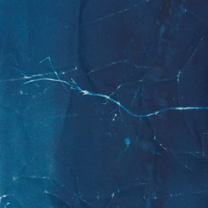 Routes and Roots-Ishita