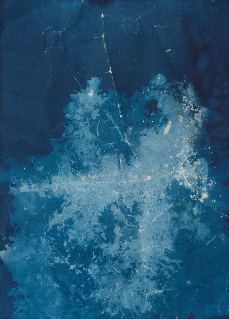 Routes and Roots-Ishita