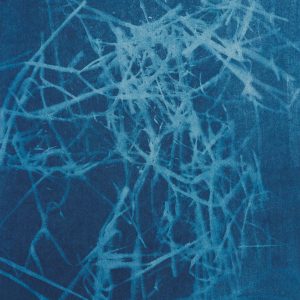 Routes and Roots-Ishita