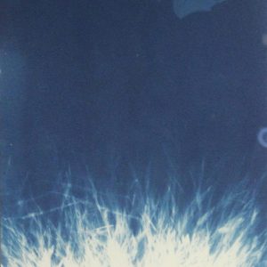 Routes and Roots-Ishita
