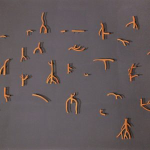 Rhizome-Notes-Ishita