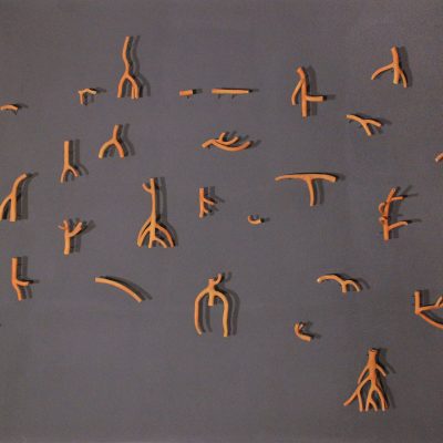 Rhizome-Notes-Ishita