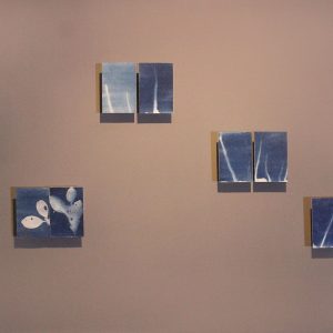River-in-Vein-Ishita